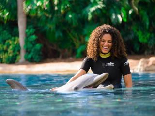 Discovery Cove Ultimate Package with Dolphin Swim