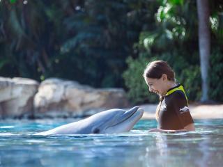 Discovery Cove with Dolphin Swim - 2025 Early Booker Offer