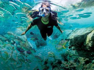 Discovery Cove Package without Dolphin Swim - 2025 Early Booker Offer